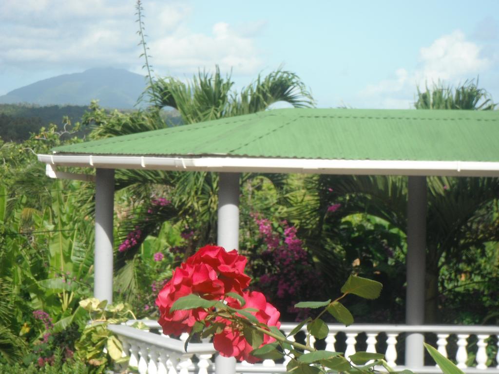 Classique International In Dominica Marigot Cameră foto