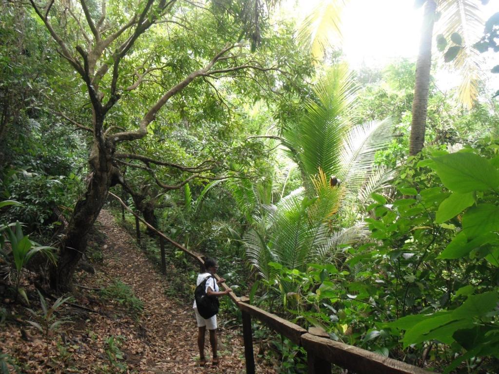 Classique International In Dominica Marigot Exterior foto